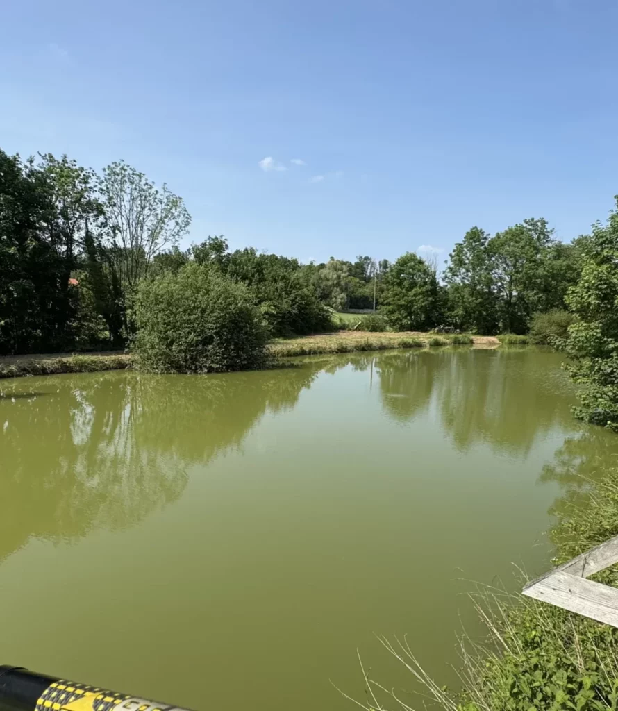 Vue terrasse de l'étang