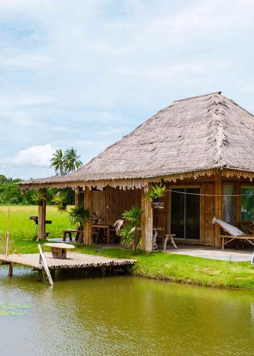 eco-farm-homestay-with-a-rice-field-in-central-tha-2023-11-27-05-10-41-2SPMQ8R.jpg